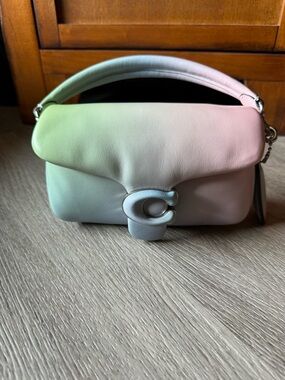 Coach Pastel Gradient Leather Shoulder Bag in Soft Pink, Green & Blue